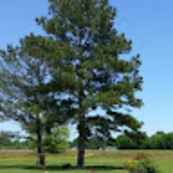 Meet your Posher, Vincent - Picture 1 of 1